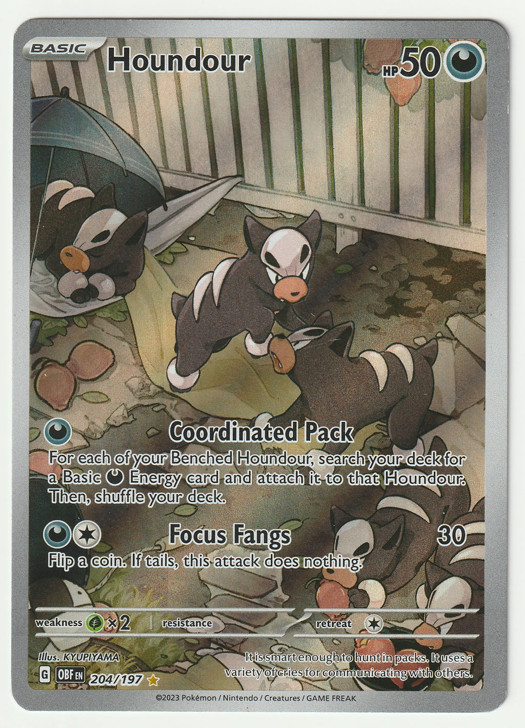 204/197 - Houndour Illustration Rare - Obsidian Flames