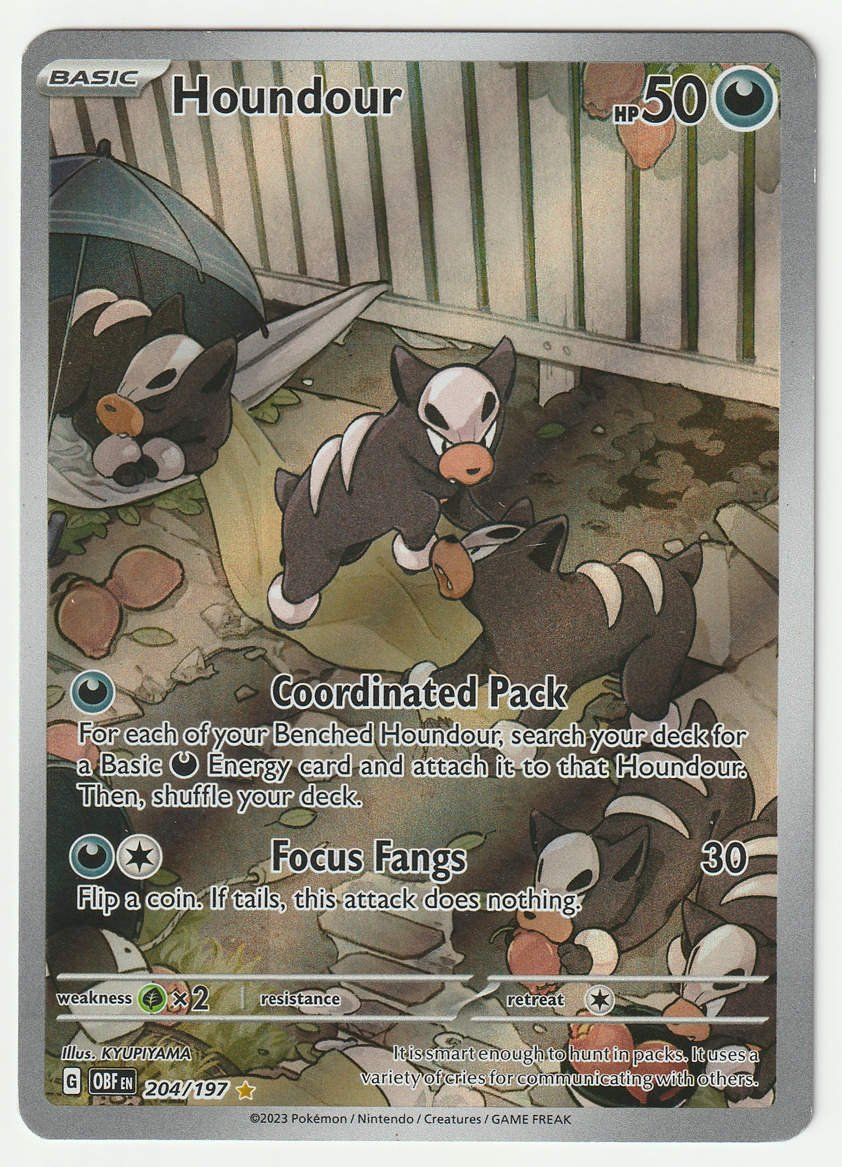 204/197 - Houndour Illustration Rare - Obsidian Flames